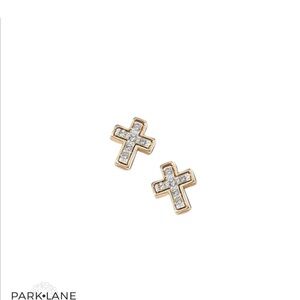 NWT Park Lane Truth Earrings BNIB